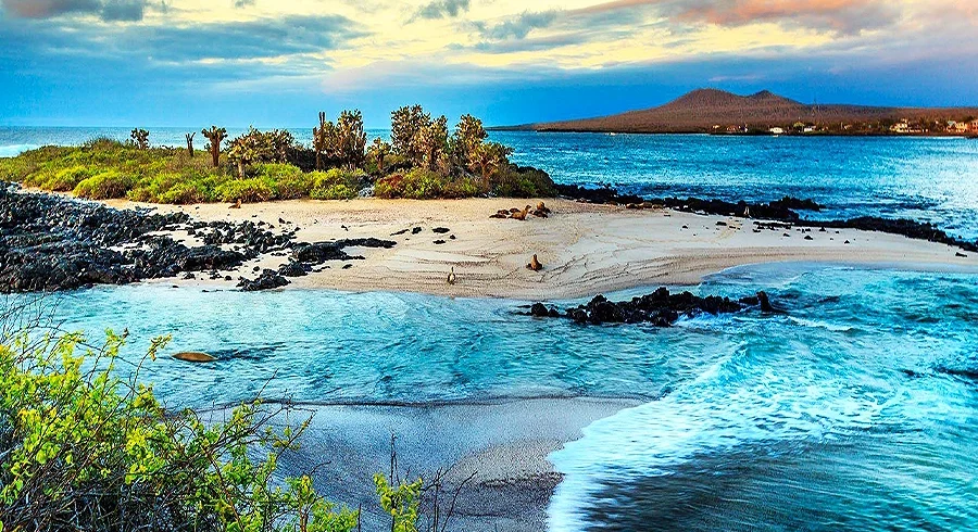 galapagos islands landscape view