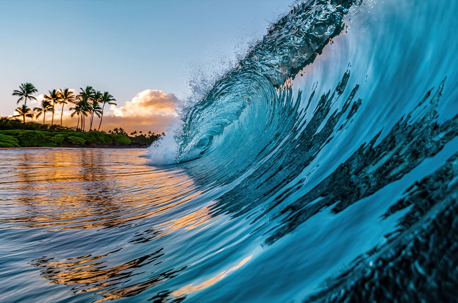 hawaii ocean wave curling with palm trees and sunset in background