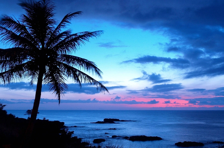 hawaii ocean waves sunset dark skies palm trees