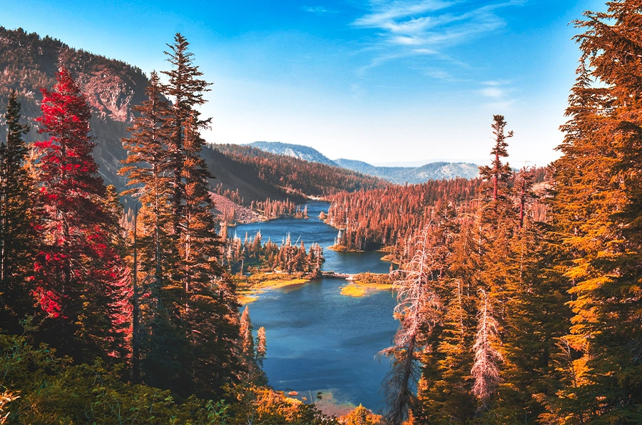 national parks yosemite fall leaves by creek mountains in background 2