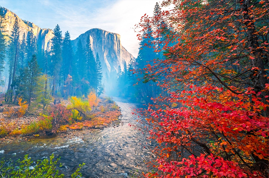 national parks yosemite fall leaves by creek mountains in background